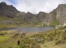 Imagen Laguna Nariguiña